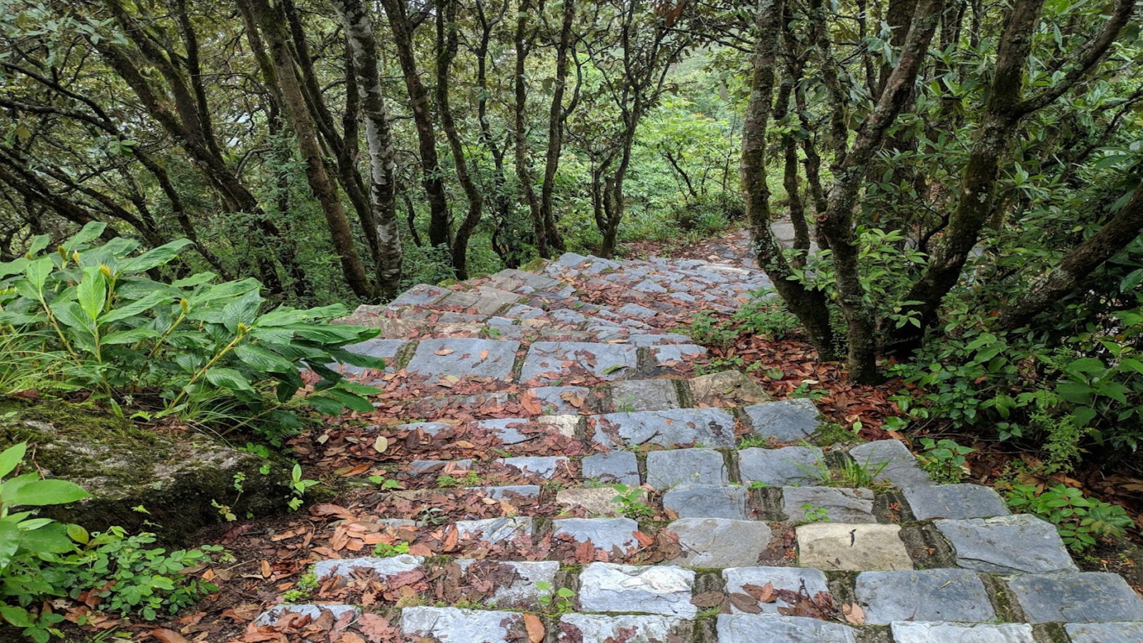 shivapuri hiking