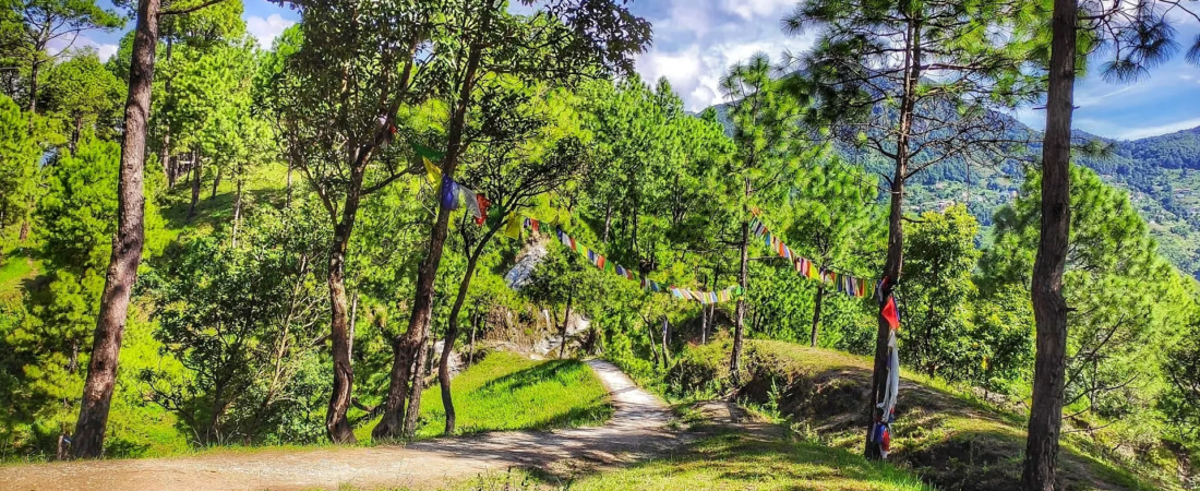 tarevir hiking