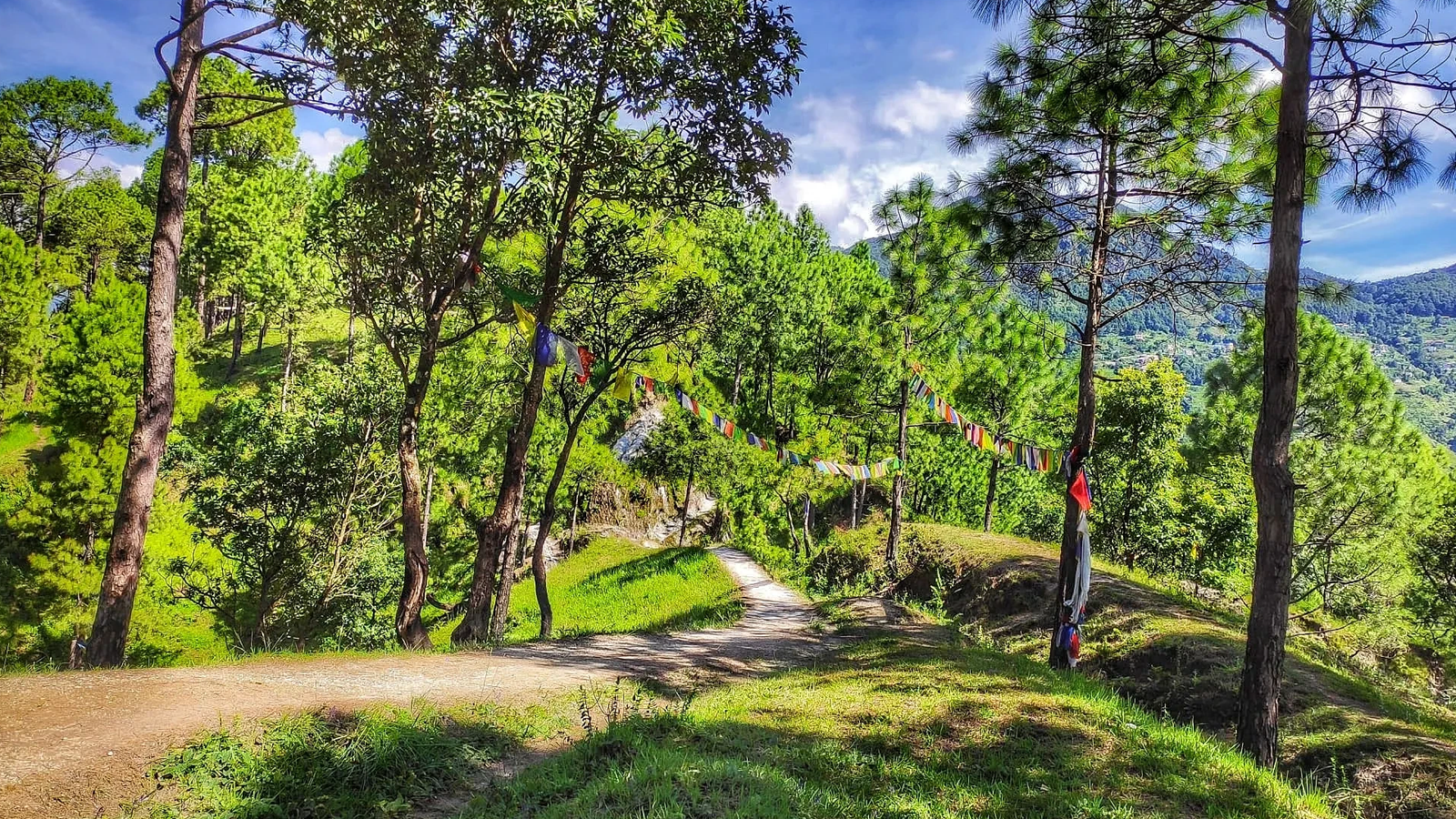tarevir hiking