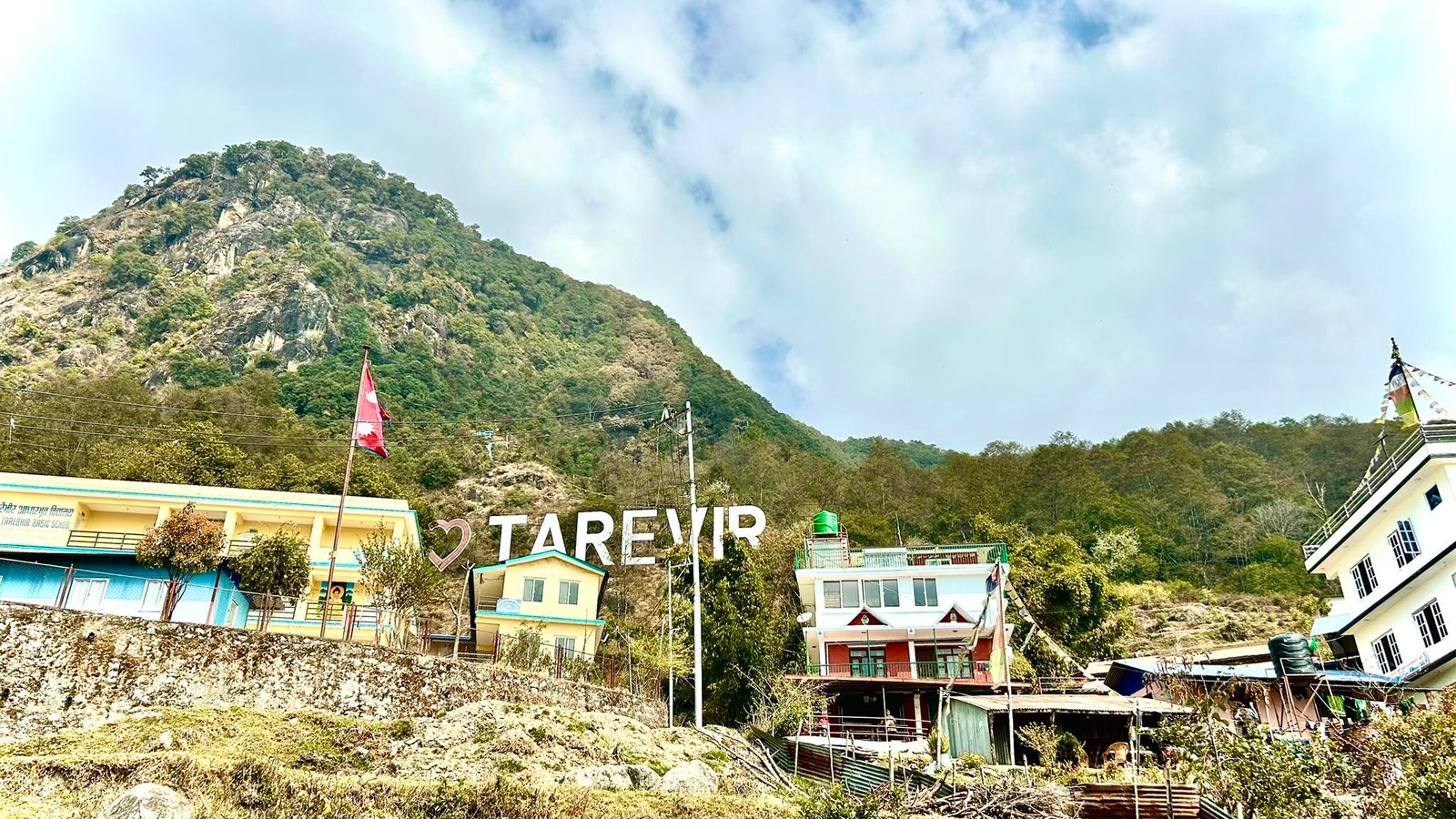 tarevir.com